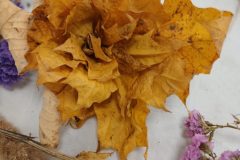 20251025_164952-scaled